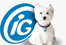 Hélio Gomes assume vice-presidência de conteúdo no iG Nova gestão: Hélio Gomes reforça time do iG como VP de conteúdo